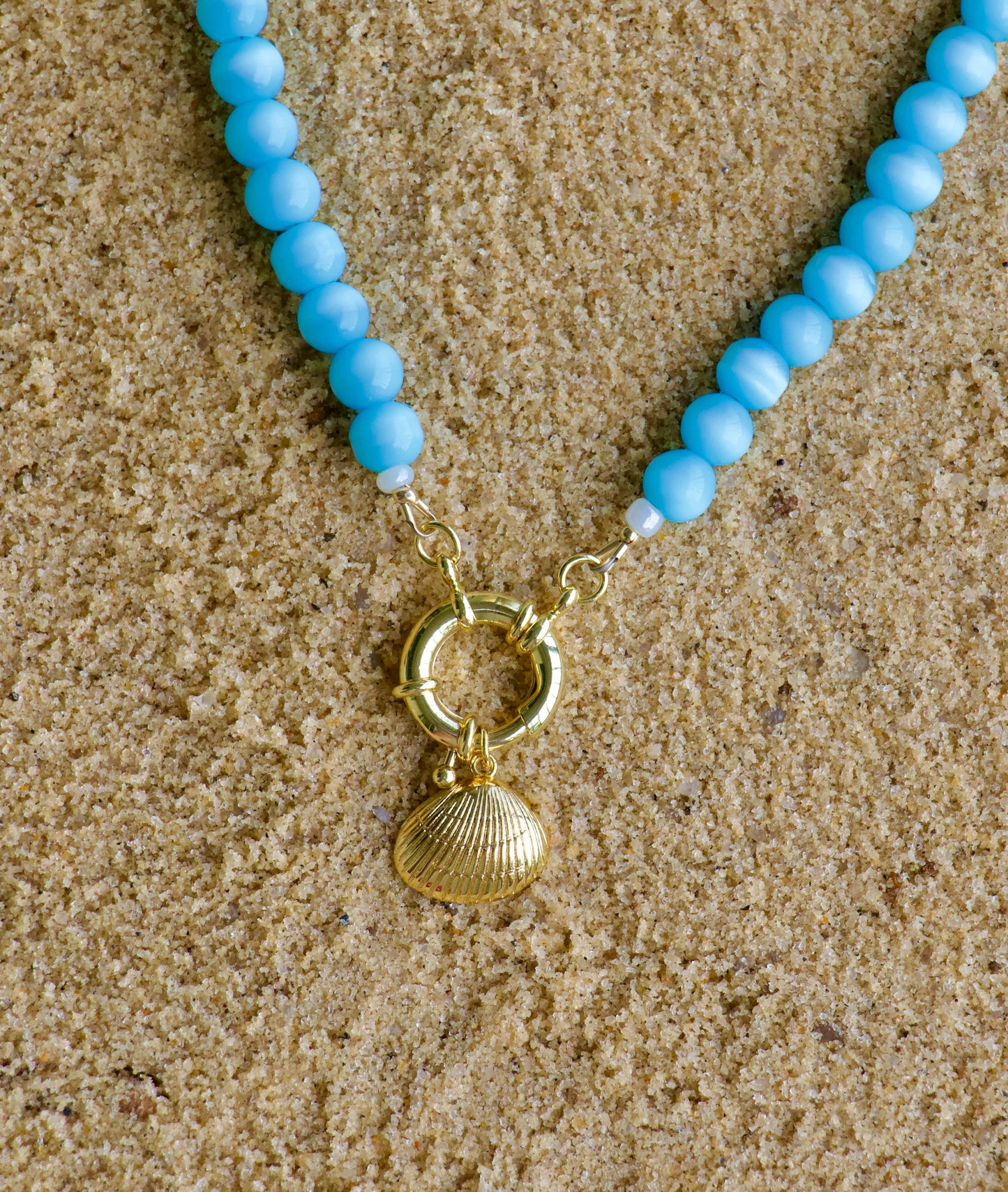 Nantucket Shell Necklace