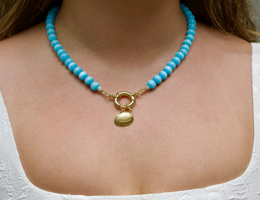 Nantucket Shell Necklace