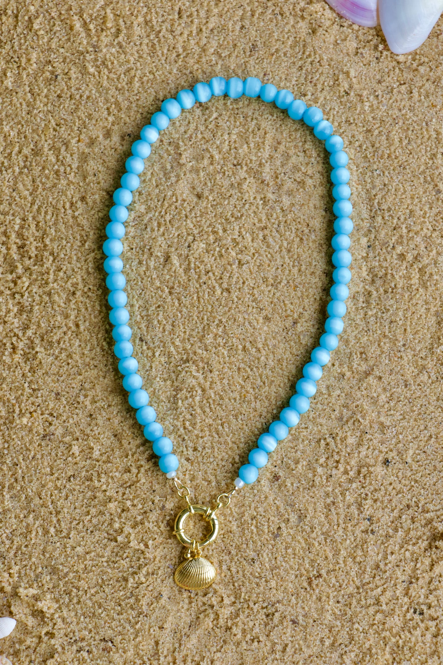 Nantucket Shell Necklace