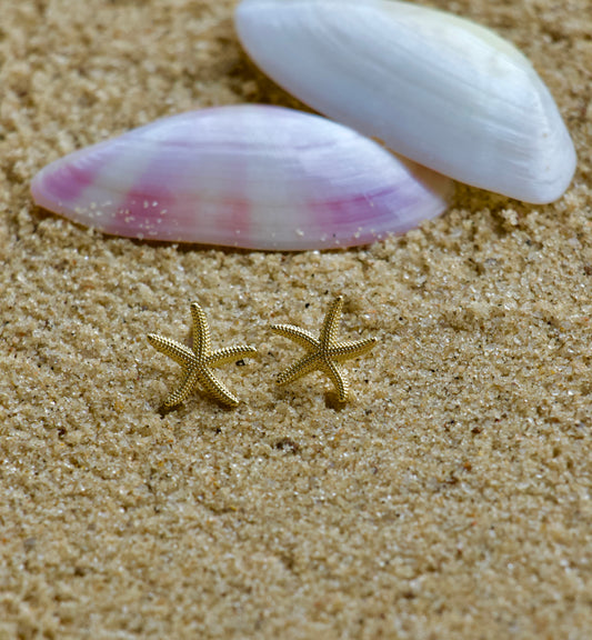 Summer Star Earrings